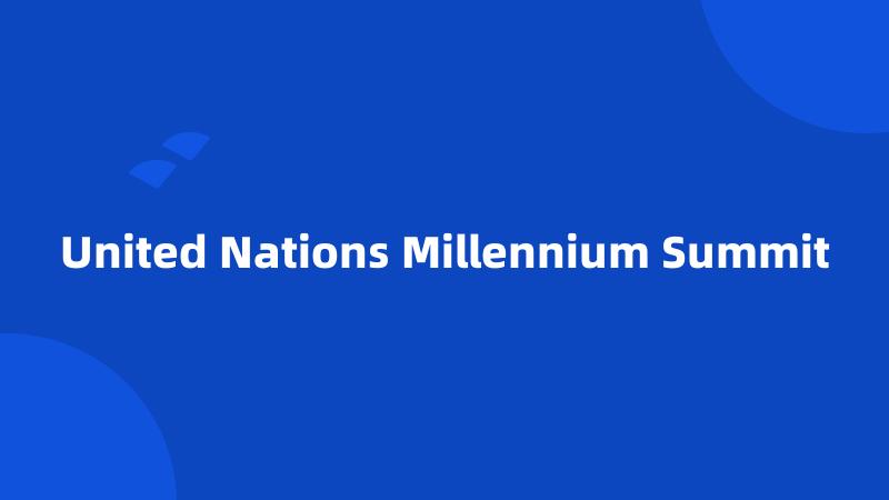 United Nations Millennium Summit