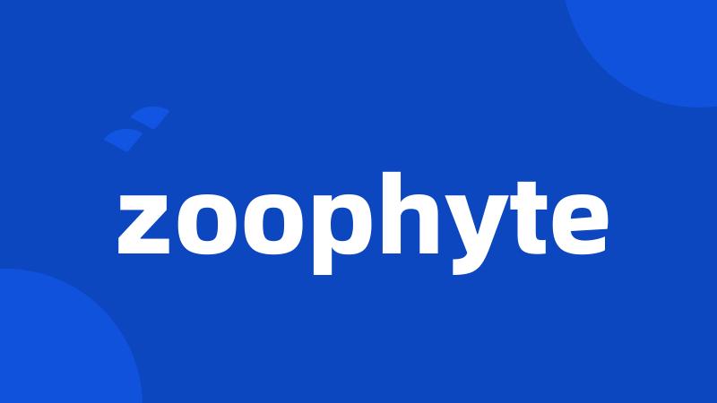 zoophyte