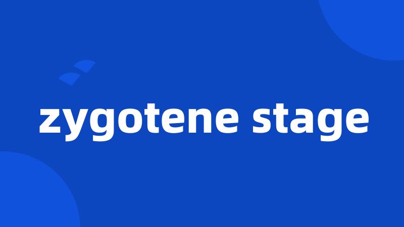 zygotene stage