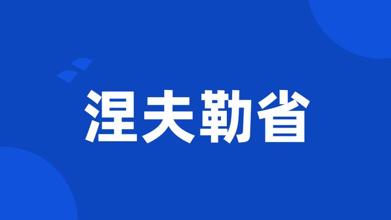 涅夫勒省