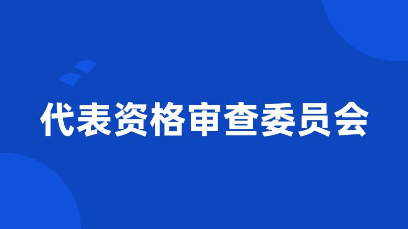 代表资格审查委员会