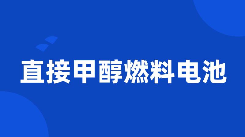 直接甲醇燃料电池