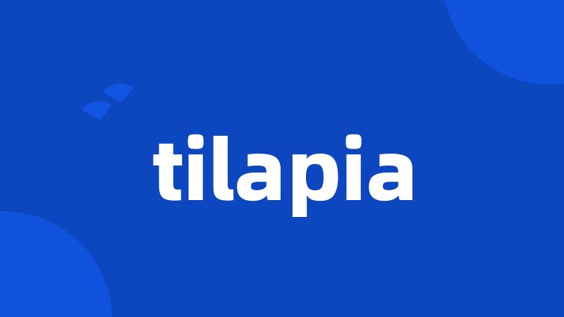 tilapia