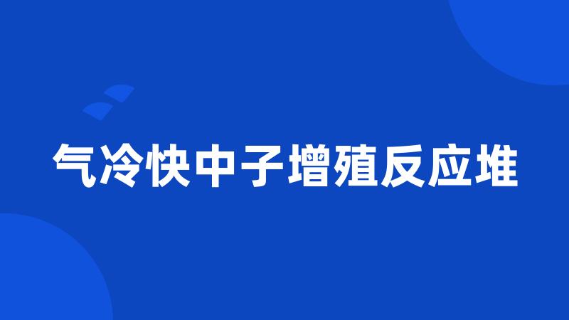 气冷快中子增殖反应堆