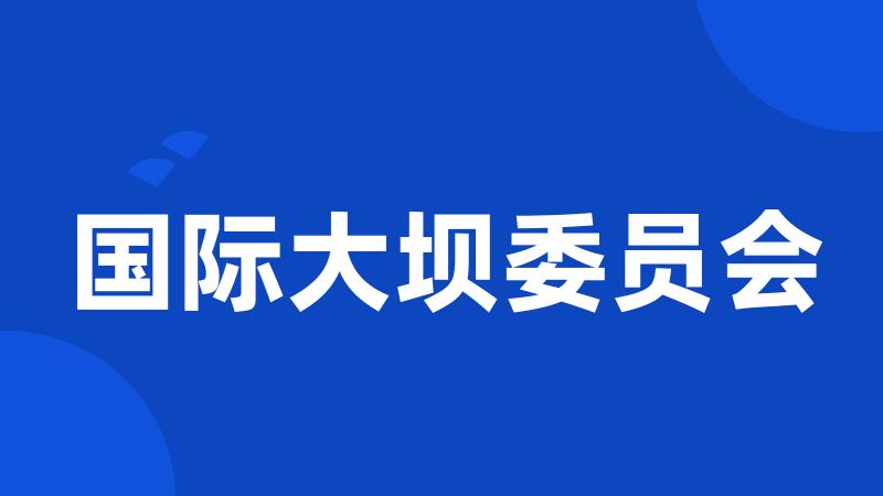 国际大坝委员会