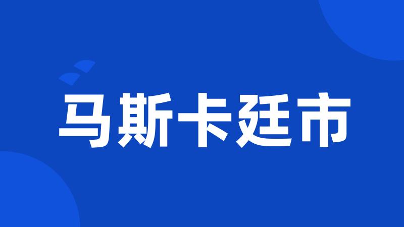 马斯卡廷市