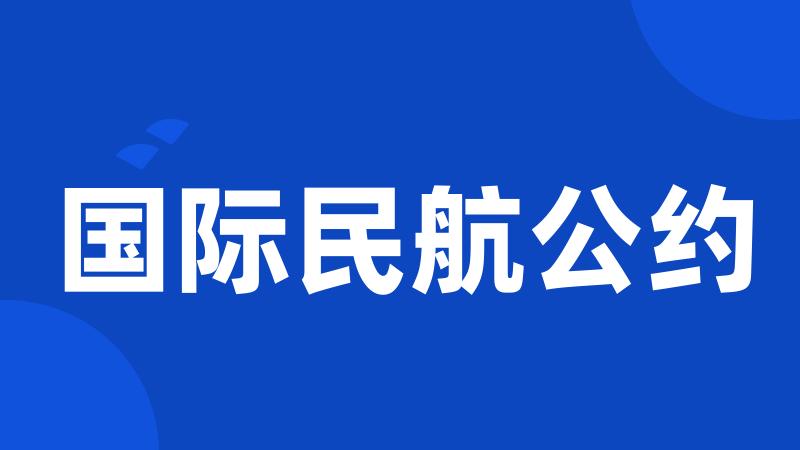 国际民航公约