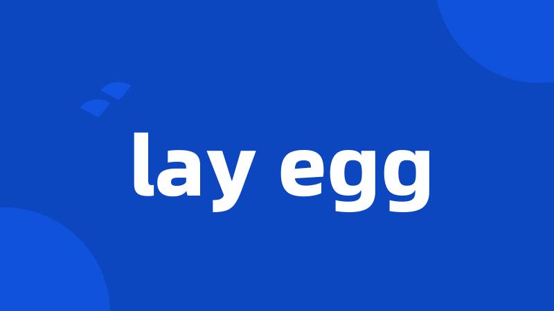 lay egg