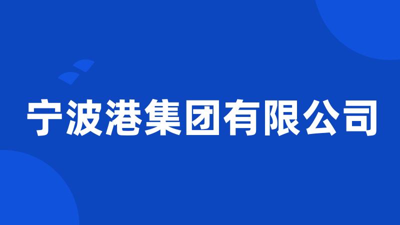 宁波港集团有限公司