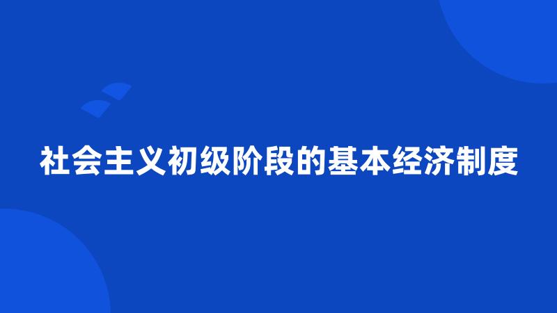 社会主义初级阶段的基本经济制度