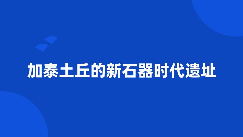 加泰土丘的新石器时代遗址