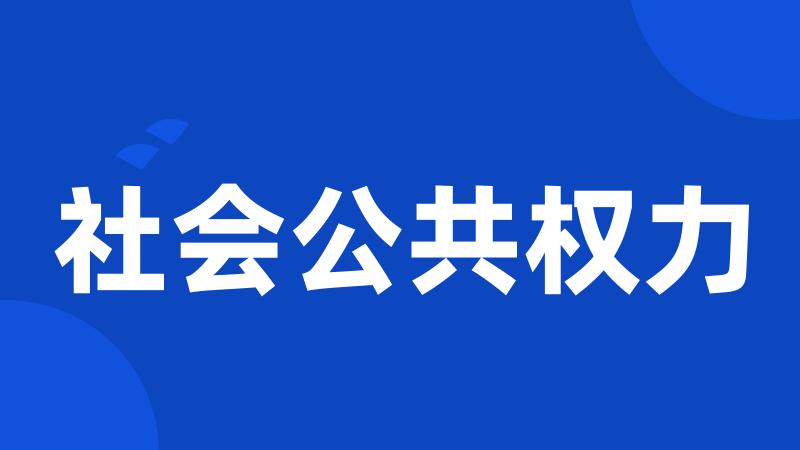 社会公共权力