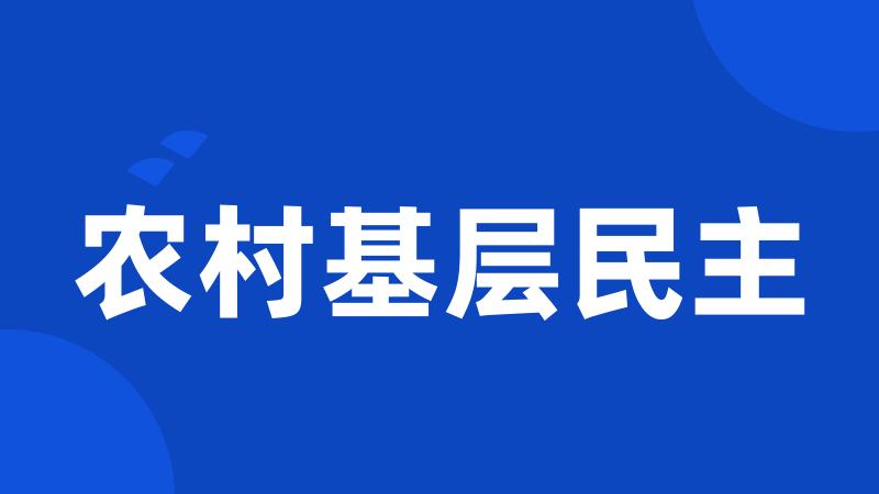 农村基层民主