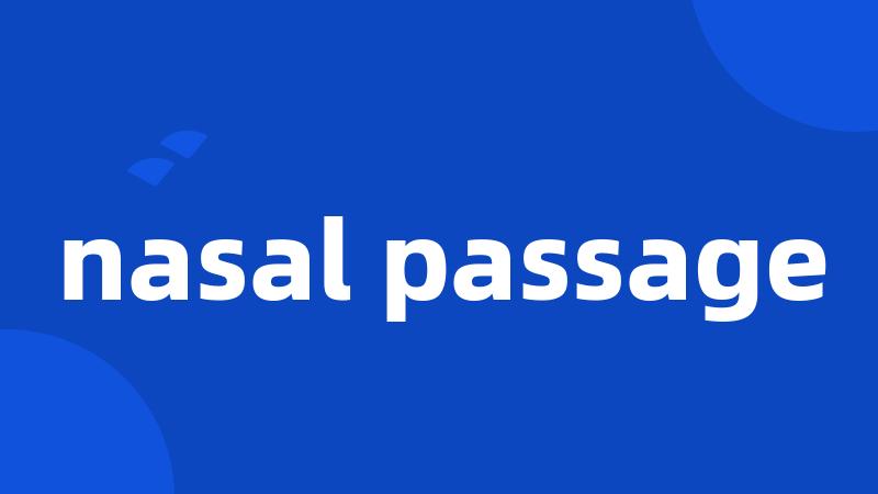 nasal passage