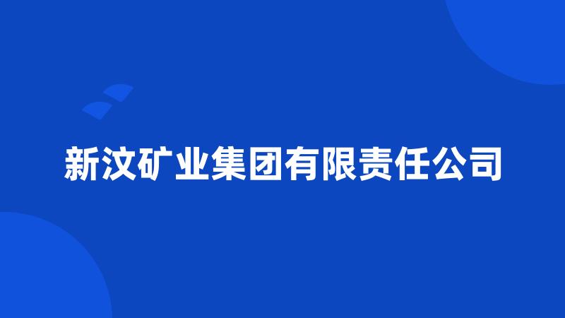 新汶矿业集团有限责任公司