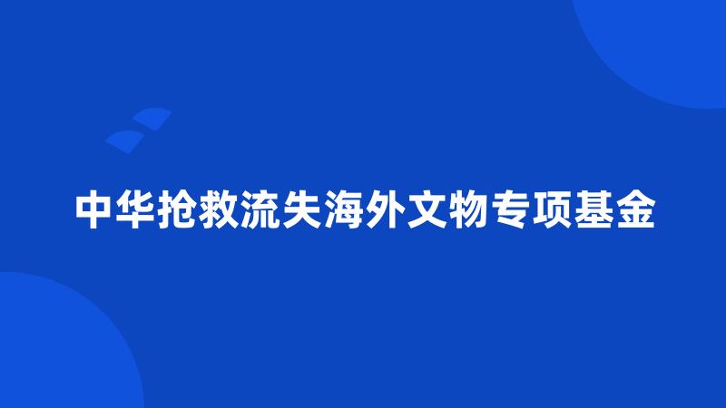 中华抢救流失海外文物专项基金