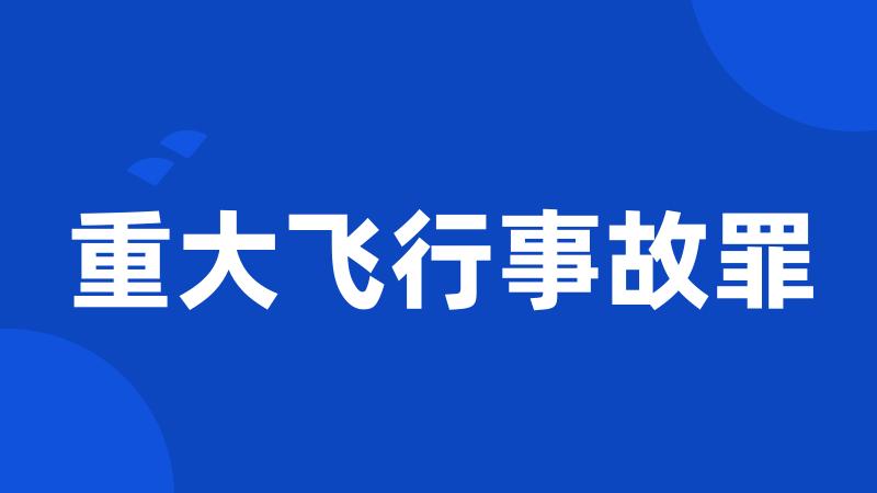 重大飞行事故罪