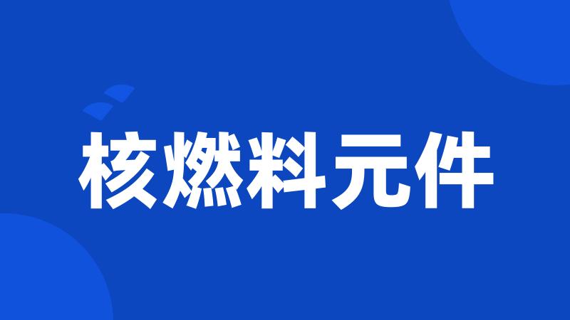 核燃料元件