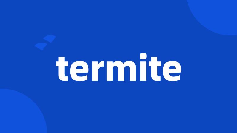 termite