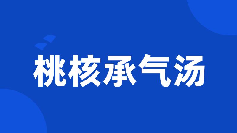 桃核承气汤