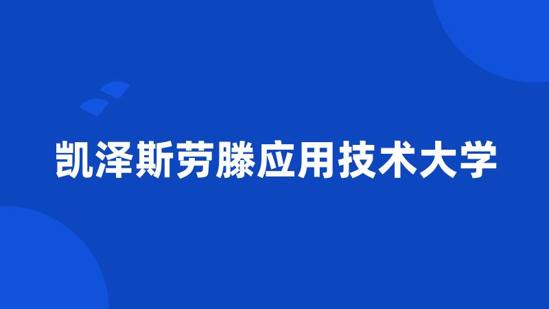 凯泽斯劳滕应用技术大学