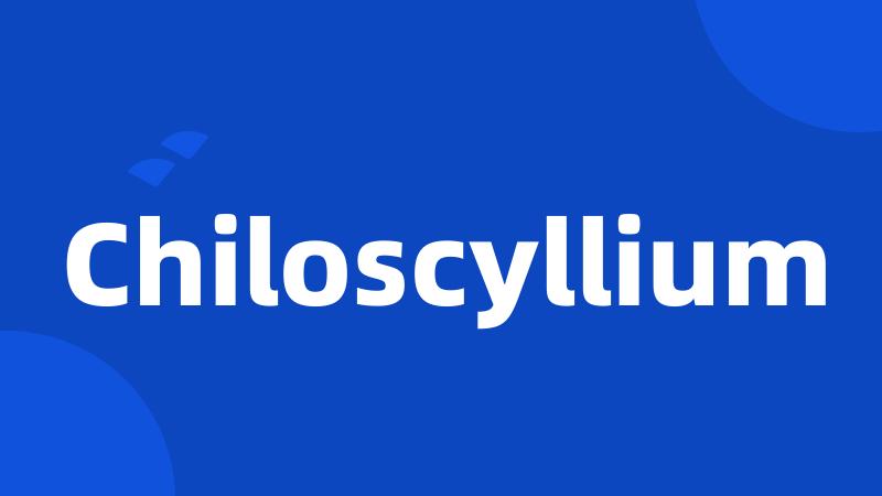 Chiloscyllium