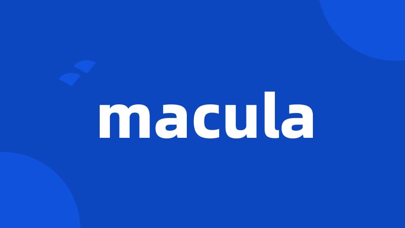 macula