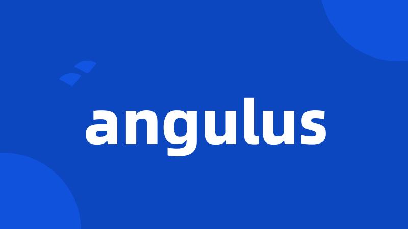 angulus