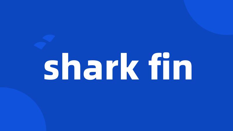 shark fin