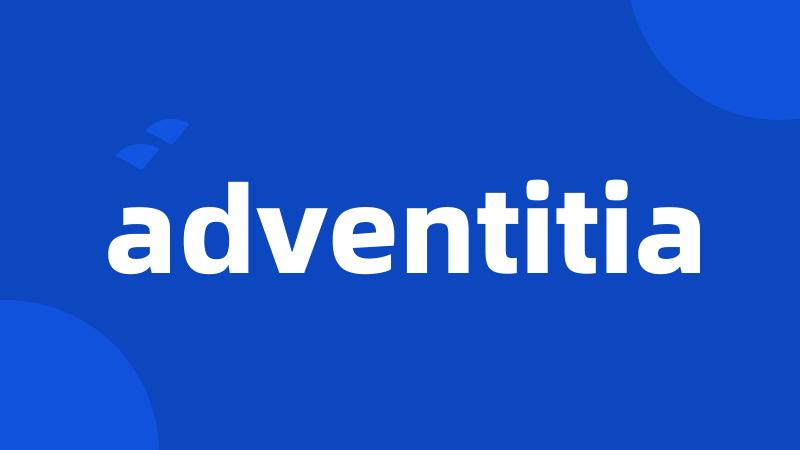 adventitia