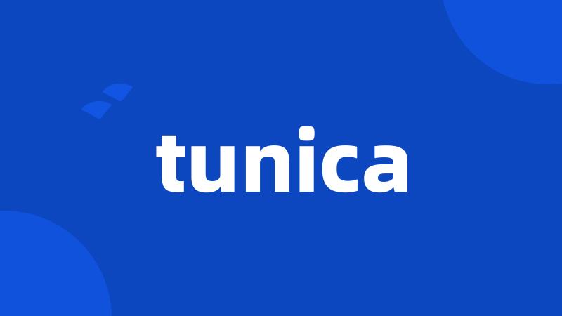 tunica