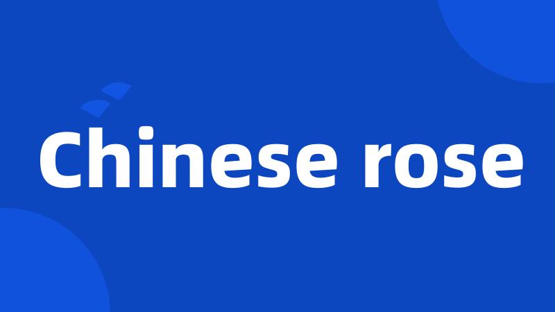 Chinese rose