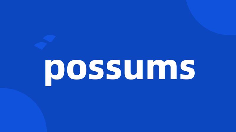 possums