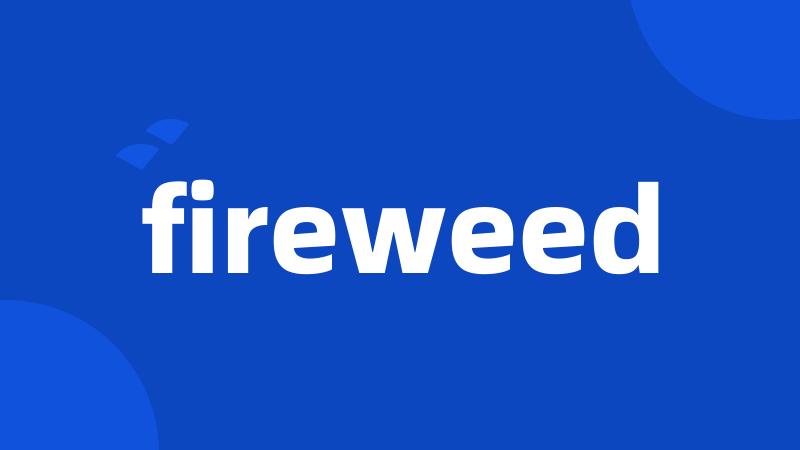 fireweed