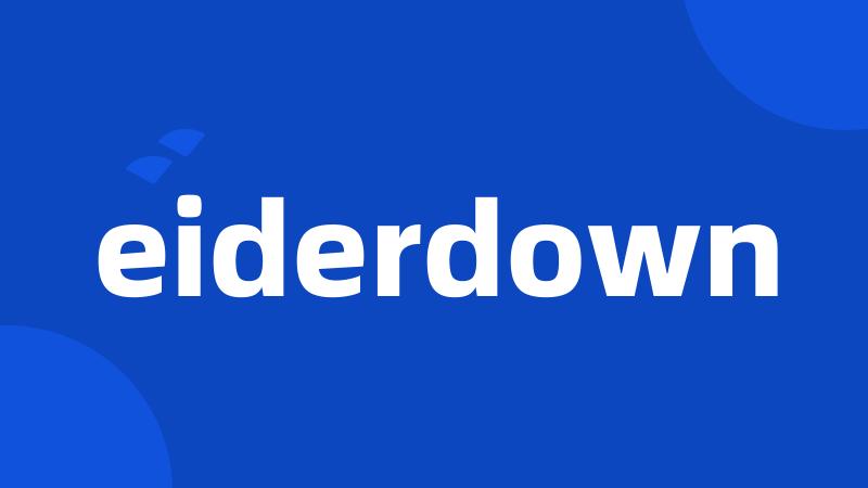 eiderdown