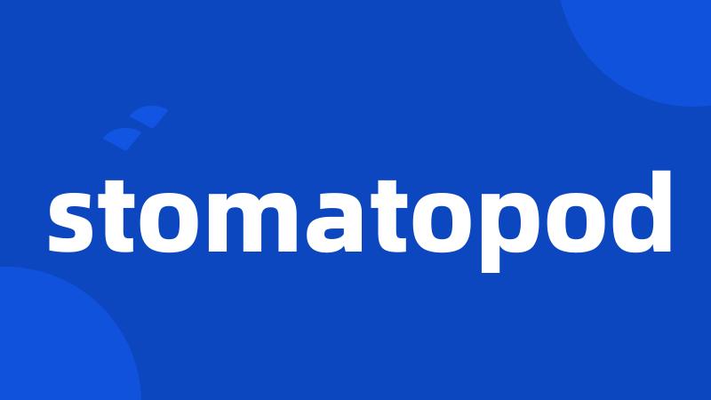 stomatopod