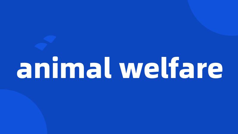 animal welfare