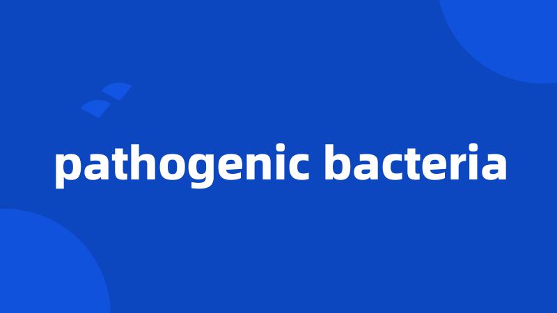 pathogenic bacteria