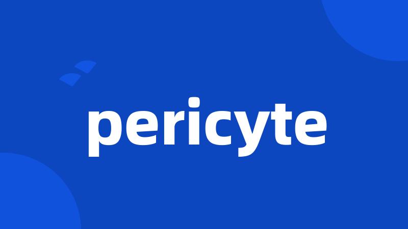 pericyte