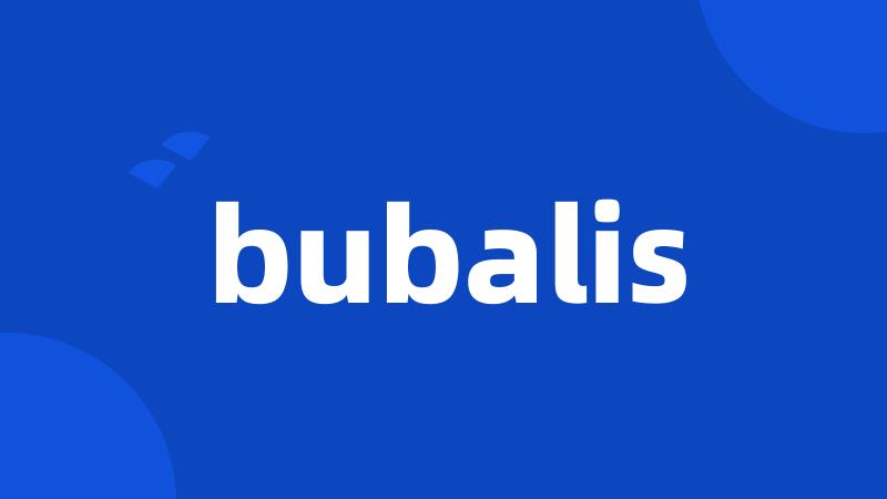 bubalis