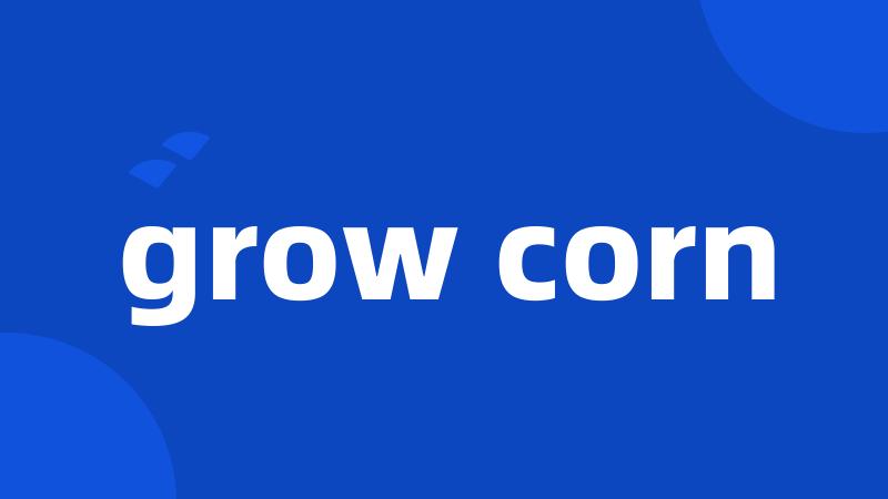 grow corn