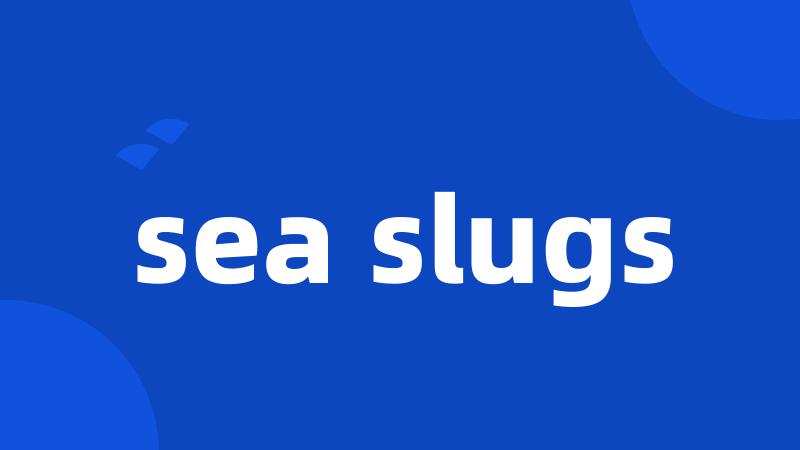 sea slugs