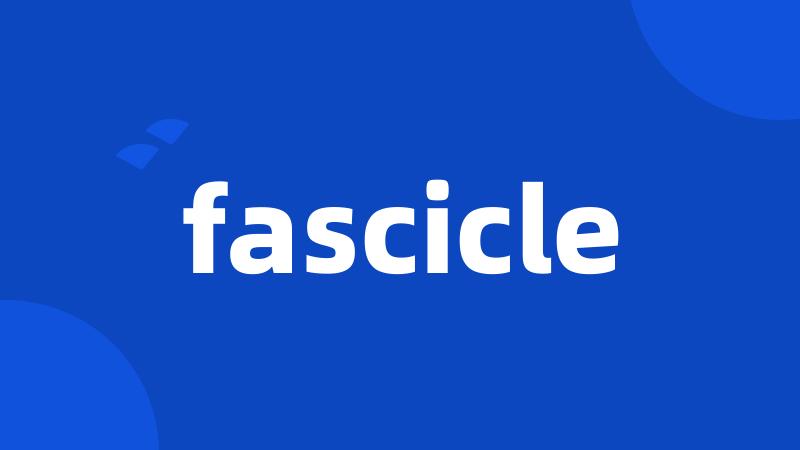 fascicle