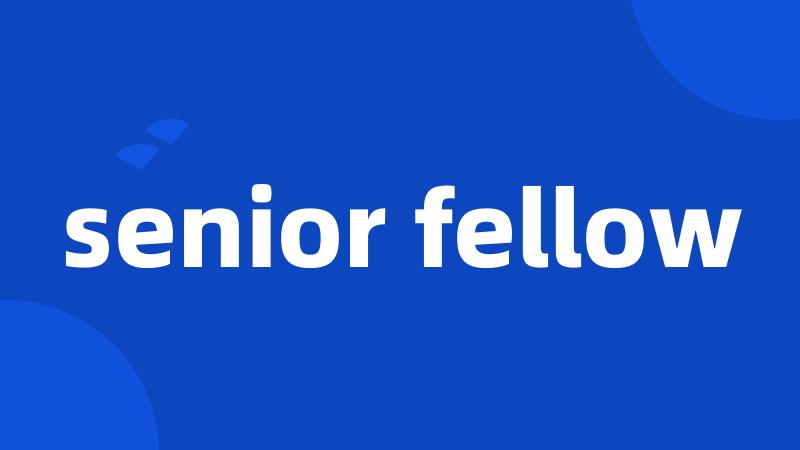 senior fellow