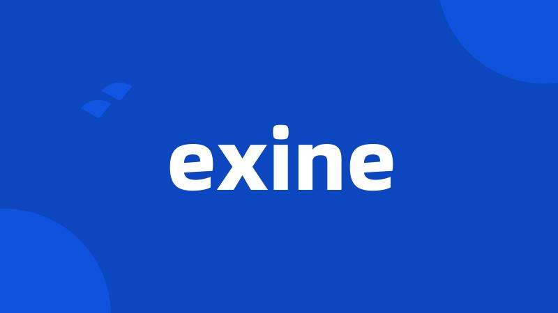 exine