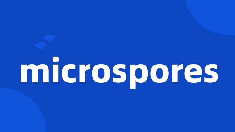 microspores