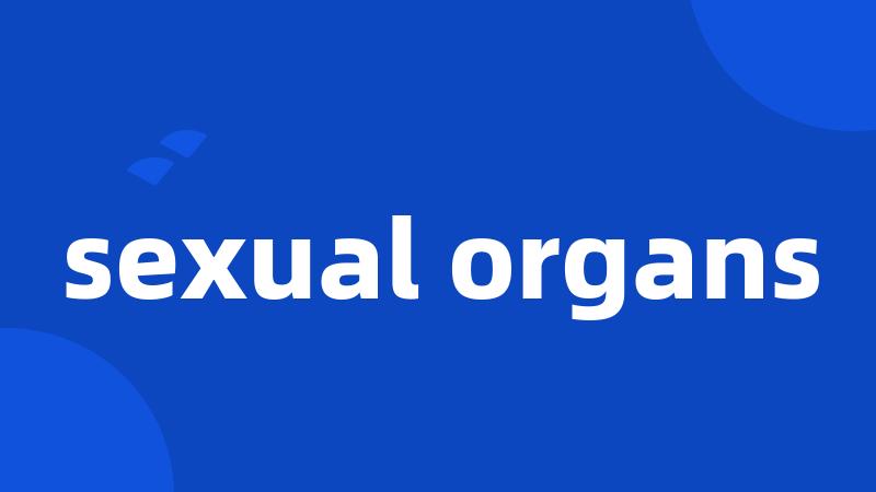 sexual organs