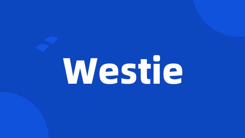 Westie