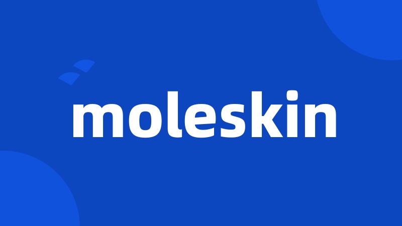 moleskin