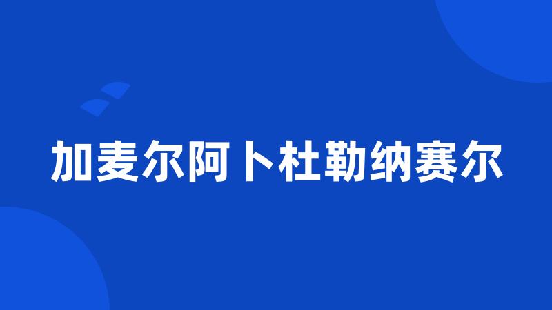 加麦尔阿卜杜勒纳赛尔